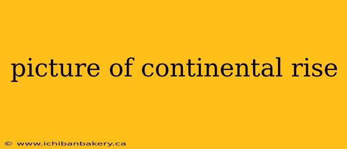 picture of continental rise