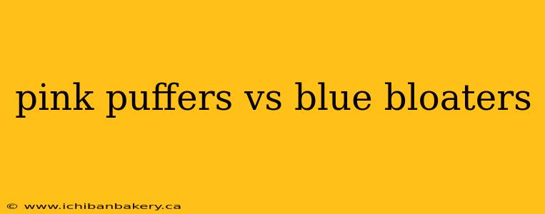 pink puffers vs blue bloaters