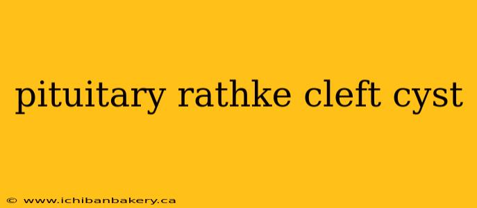 pituitary rathke cleft cyst