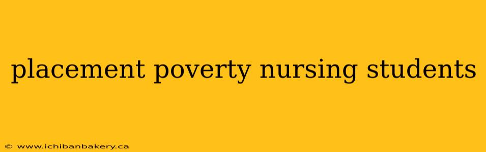 placement poverty nursing students