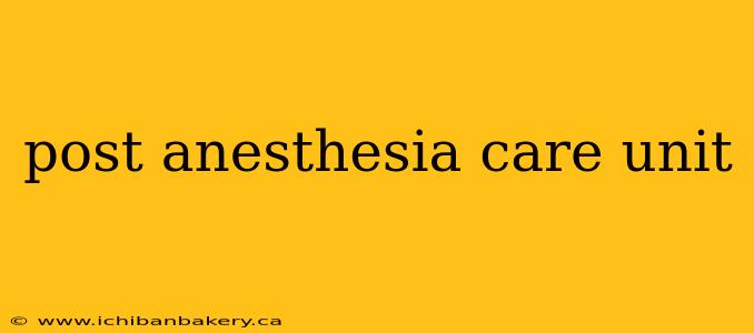 post anesthesia care unit