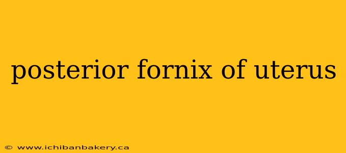 posterior fornix of uterus