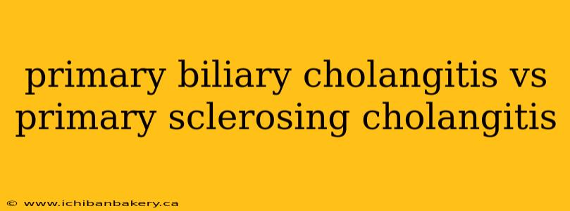 primary biliary cholangitis vs primary sclerosing cholangitis