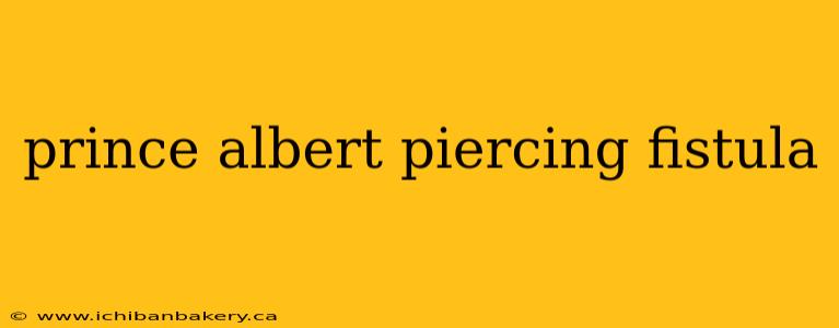 prince albert piercing fistula