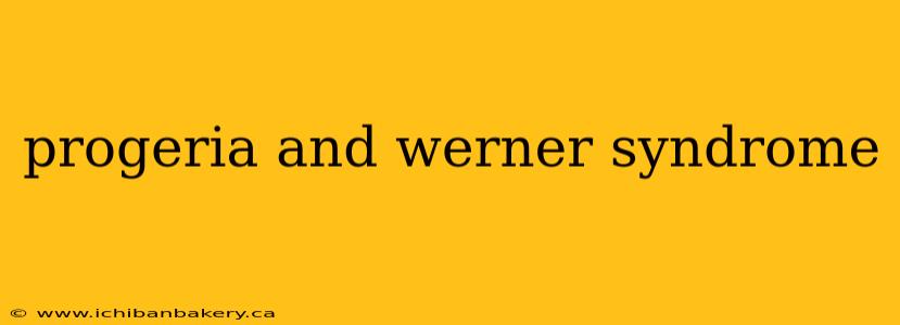 progeria and werner syndrome