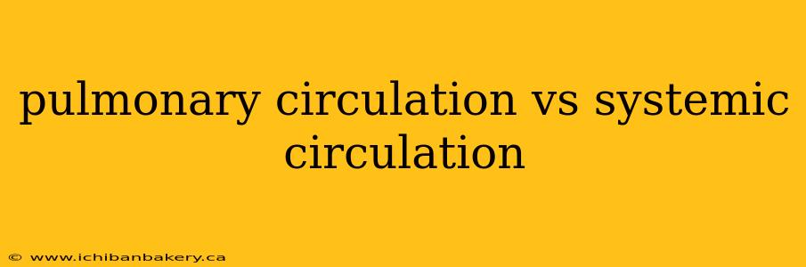 pulmonary circulation vs systemic circulation
