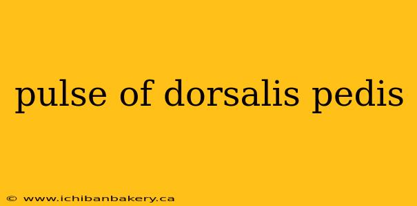 pulse of dorsalis pedis