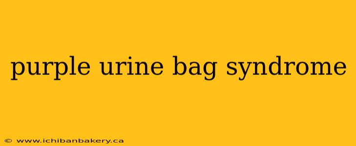 purple urine bag syndrome