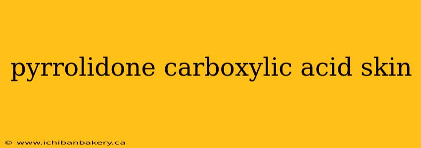 pyrrolidone carboxylic acid skin