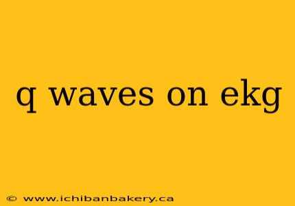 q waves on ekg