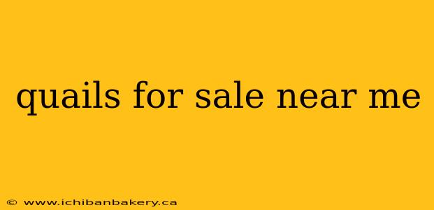 quails for sale near me