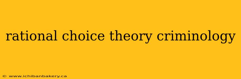 rational choice theory criminology