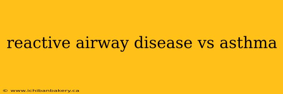 reactive airway disease vs asthma