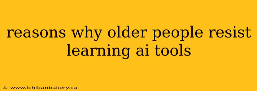 reasons why older people resist learning ai tools
