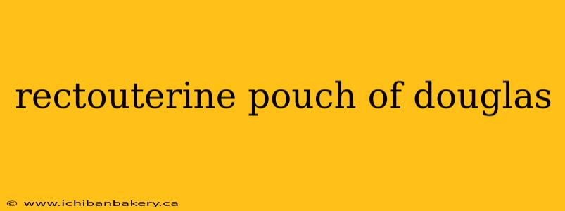 rectouterine pouch of douglas