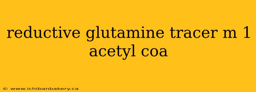 reductive glutamine tracer m 1 acetyl coa
