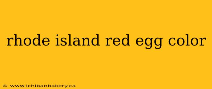 rhode island red egg color