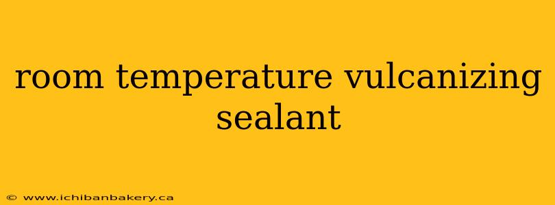 room temperature vulcanizing sealant