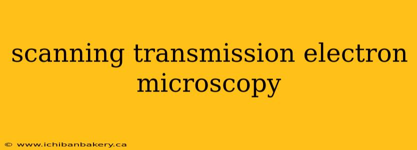 scanning transmission electron microscopy