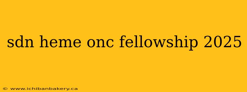sdn heme onc fellowship 2025