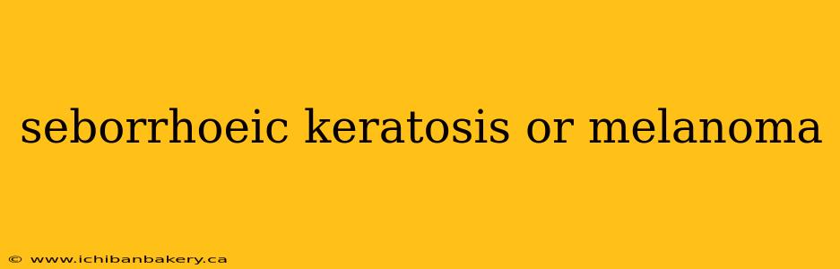 seborrhoeic keratosis or melanoma
