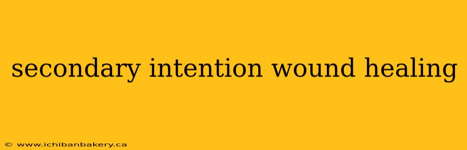 secondary intention wound healing