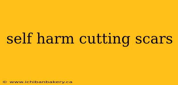 self harm cutting scars