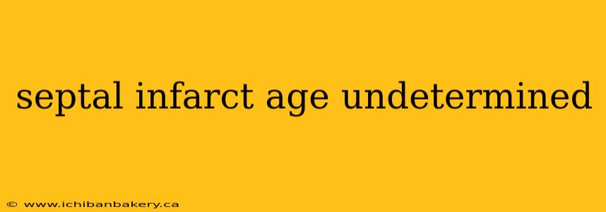 septal infarct age undetermined
