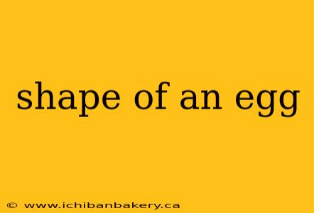 shape of an egg