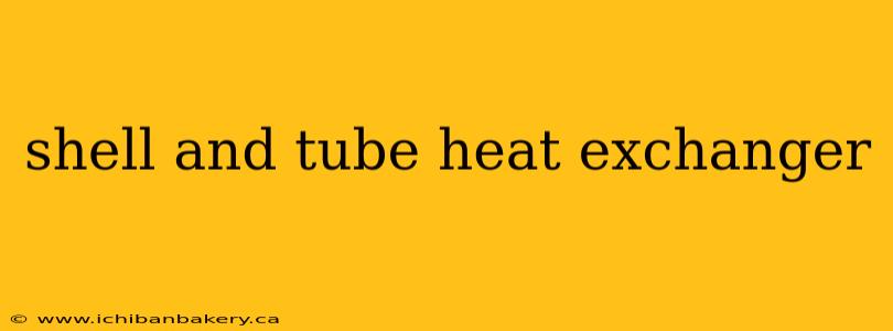shell and tube heat exchanger
