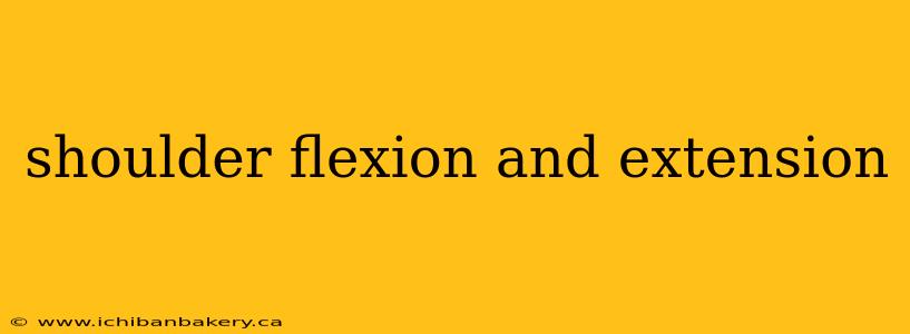 shoulder flexion and extension