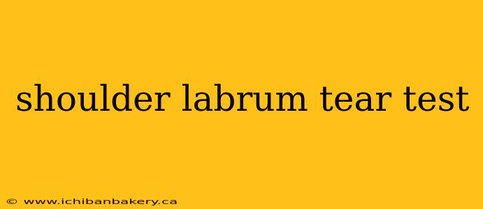 shoulder labrum tear test