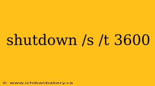 shutdown /s /t 3600