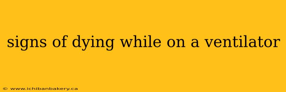 signs of dying while on a ventilator