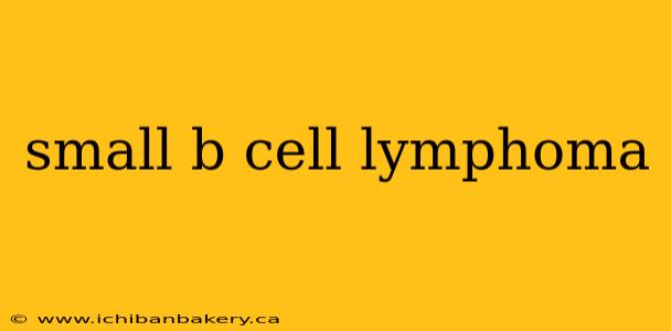 small b cell lymphoma