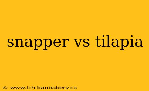 snapper vs tilapia