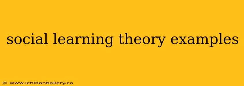 social learning theory examples