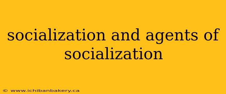 socialization and agents of socialization