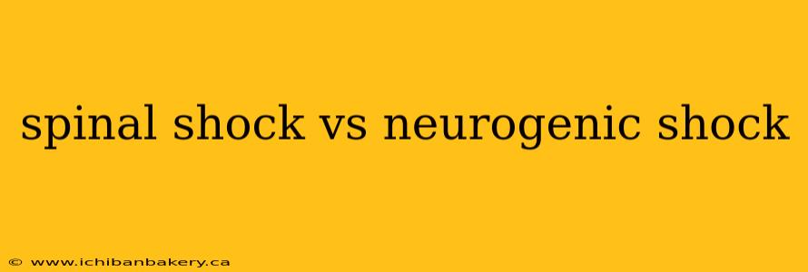 spinal shock vs neurogenic shock