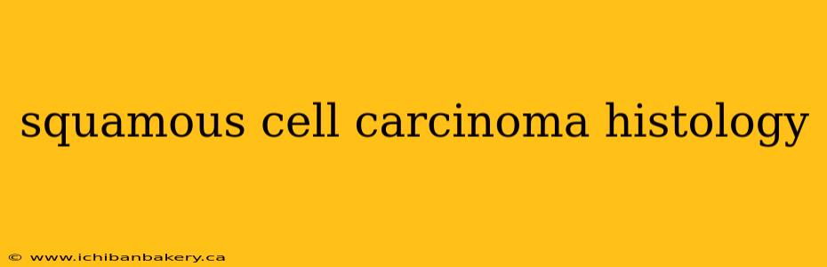 squamous cell carcinoma histology