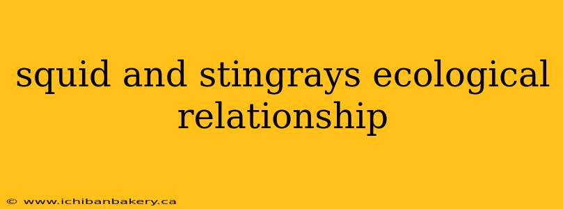 squid and stingrays ecological relationship
