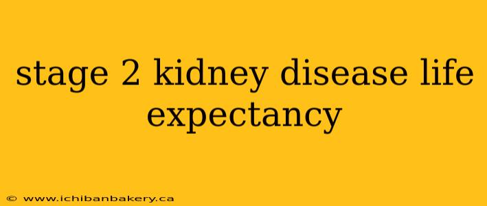 stage 2 kidney disease life expectancy
