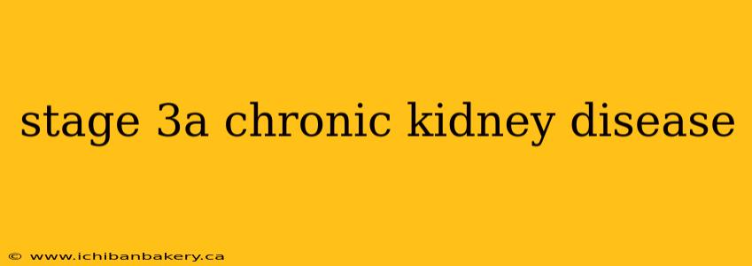 stage 3a chronic kidney disease