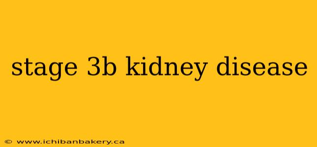 stage 3b kidney disease