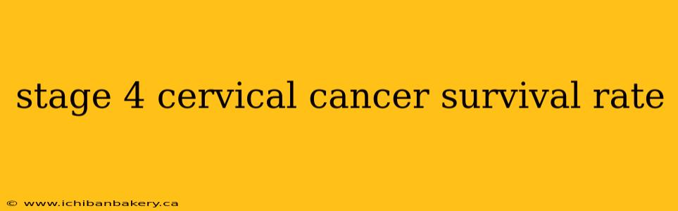 stage 4 cervical cancer survival rate
