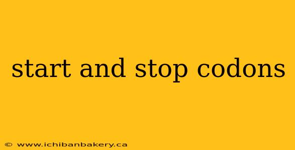 start and stop codons