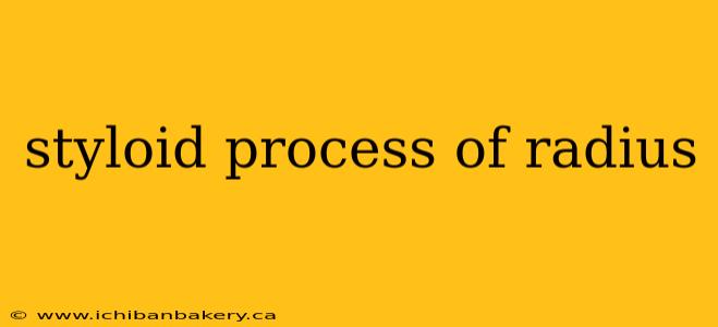 styloid process of radius