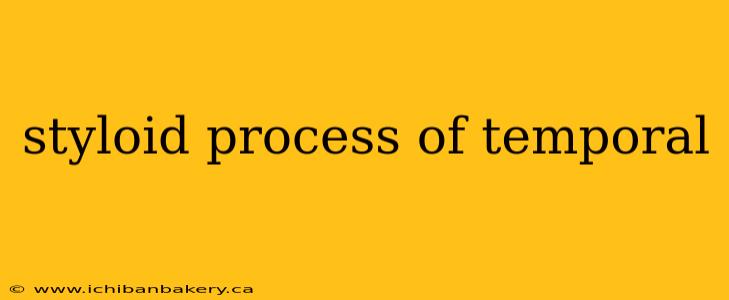 styloid process of temporal