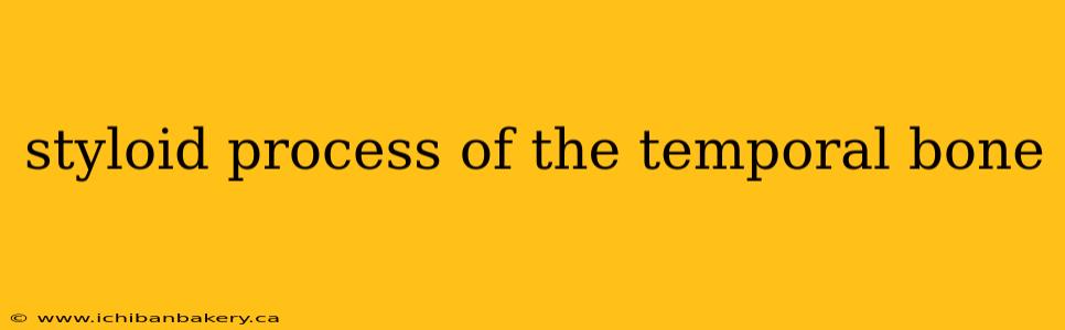 styloid process of the temporal bone