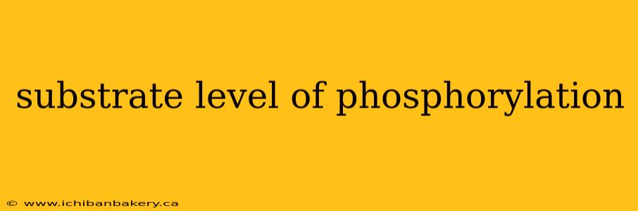 substrate level of phosphorylation